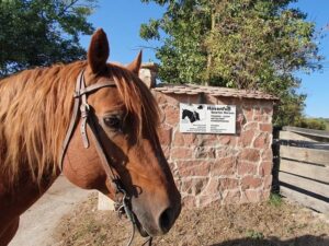 Hasenfuss-Quarter Horses, Hofeingang