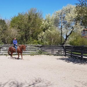 Reitplatz mit Sandboden