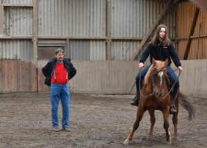 Reitunterricht, Westernreiten lernen, Schulpferde