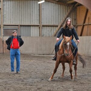 Reitunterricht für Westernreiter auf Schulpferden