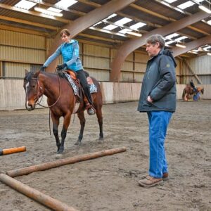 Reitunterricht für Westernreiter auf Schulpferde