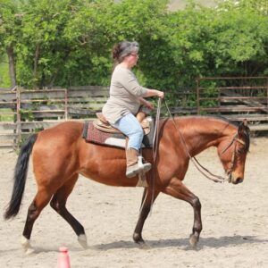 Westernreiten