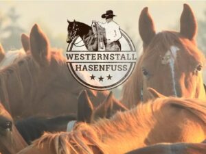 Westernstall-Hasenfuss, Reitunterricht, Pensionsstall, Rinderarbeit