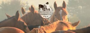 Westernstall-Hasenfuss, Reitunterricht, Pensionsstall, Rinderarbeit