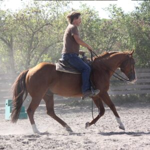 Klaus Hasenfuss Quarter Horses