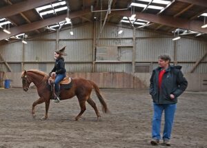 Reitunterricht, Westernreiten lernen, Schulpferde