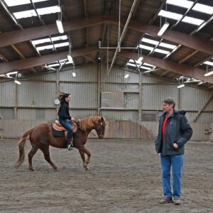 Westernreiten lernen auf Schulpferden, Reitunterricht
