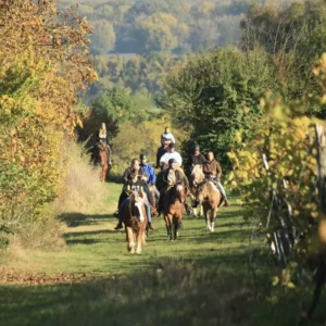 Reiturlaub in den Weinbergen